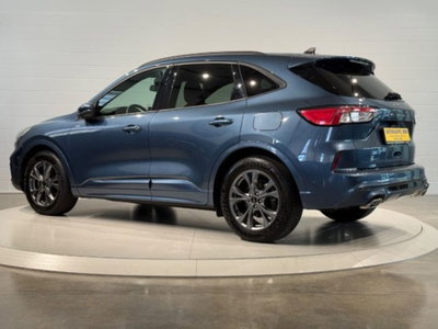 Ford Kuga 2.0 EcoBlue 120 CV aut. 2WD ST-Line X (3)