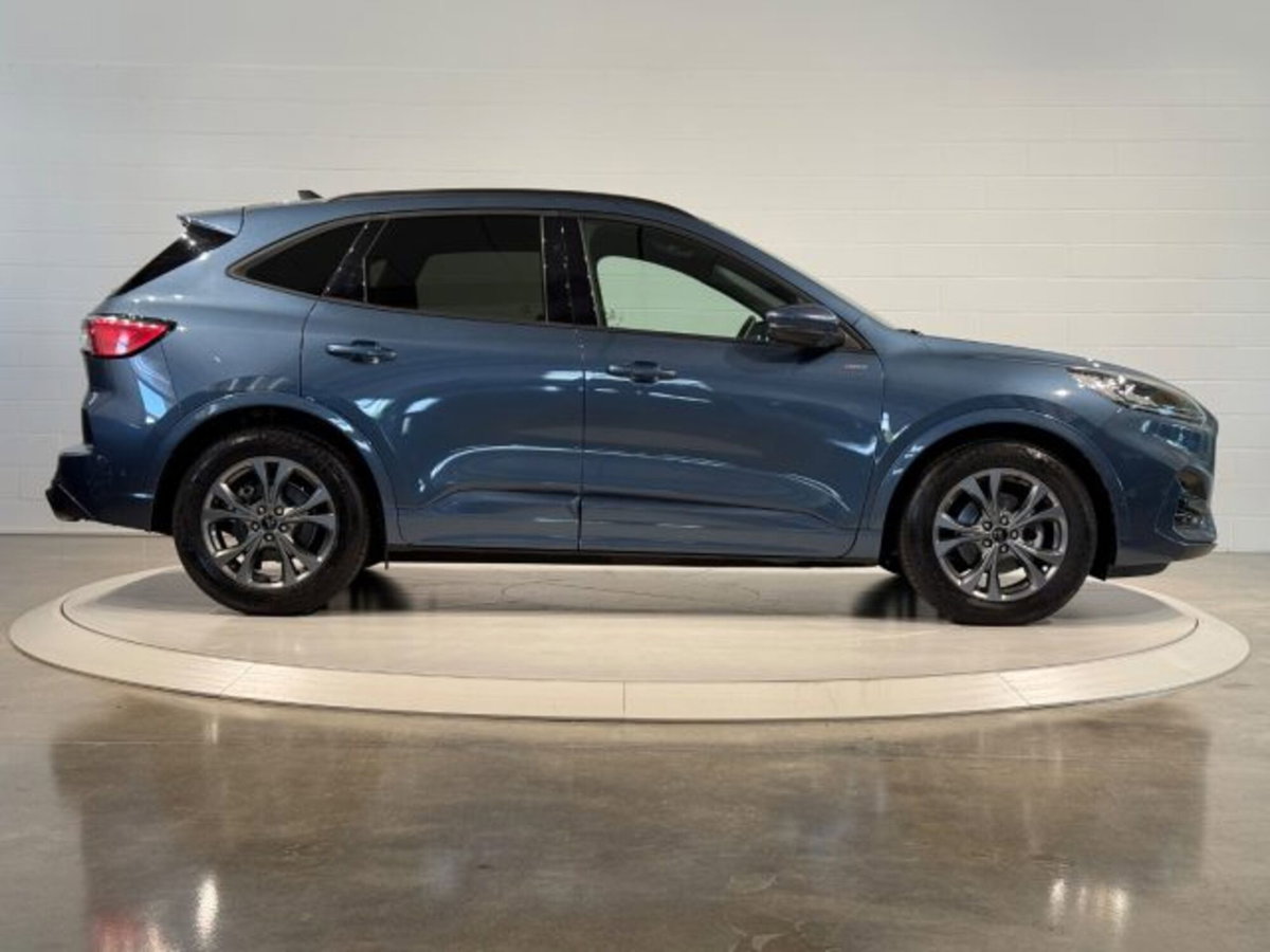 Ford Kuga 2.0 EcoBlue 120 CV aut. 2WD ST-Line X (6)