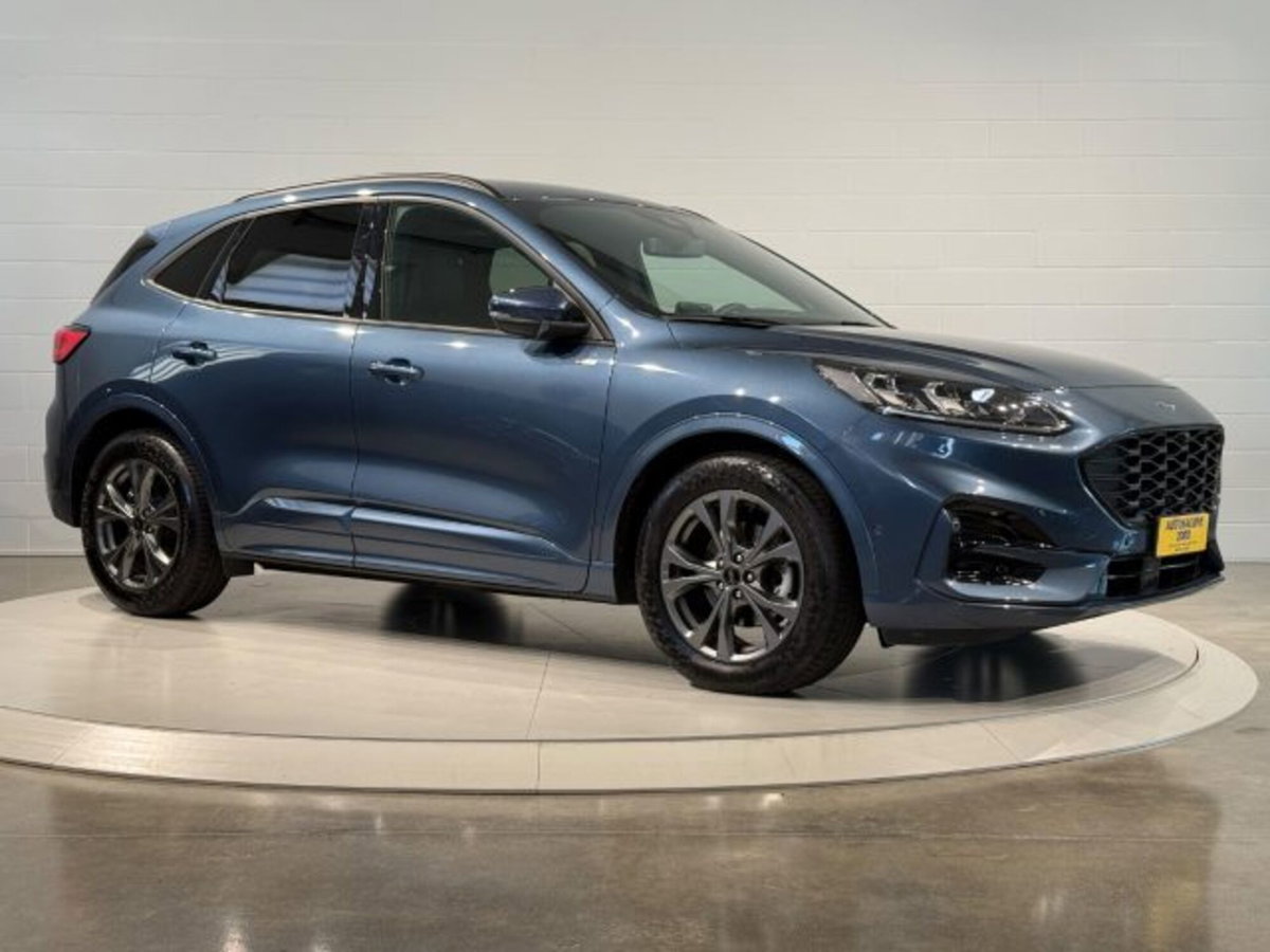 Ford Kuga 2.0 EcoBlue 120 CV aut. 2WD ST-Line X (7)