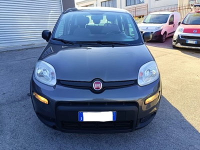 Fiat Panda 1.0 firefly hybrid s&s 70cv 5p.ti (3)