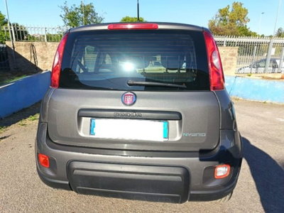 Fiat Panda 1.0 firefly hybrid s&s 70cv 5p.ti (6)