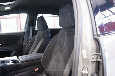 Ds DS 7 1.5 bluehdi Pallas 130cv auto (6)