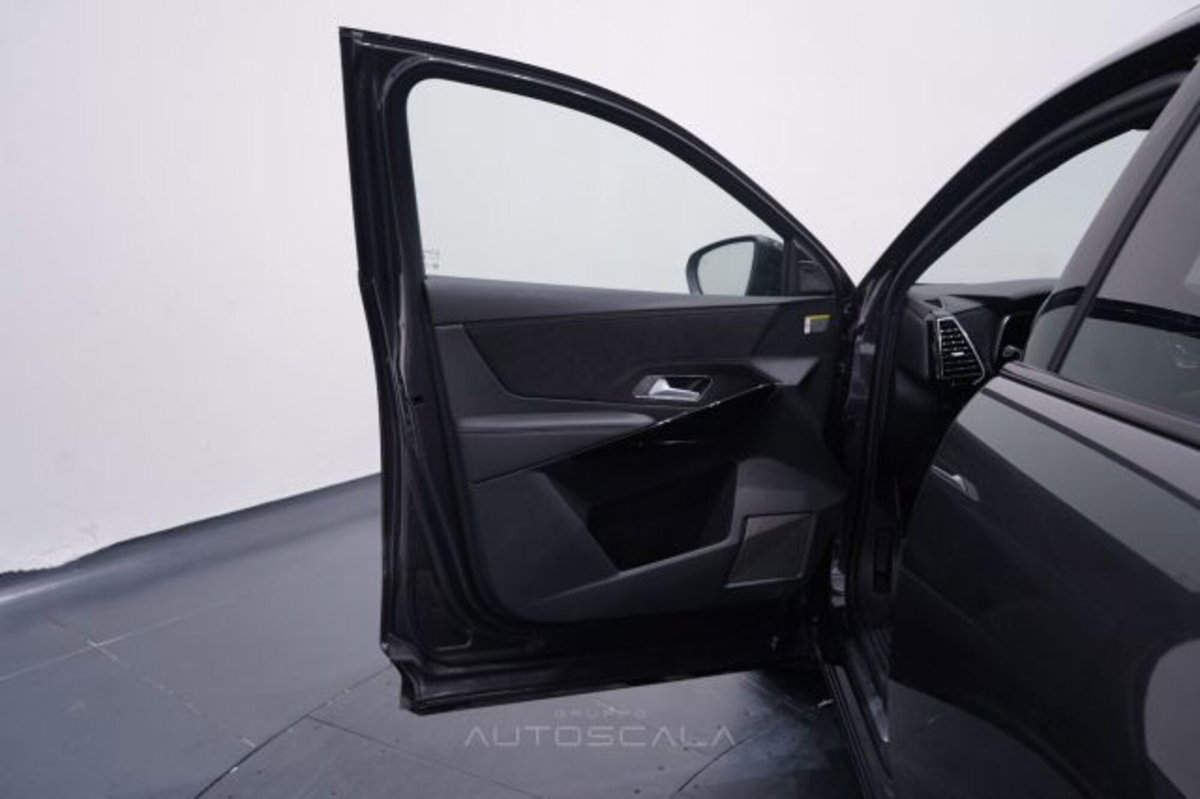 Ds DS 7 1.5 bluehdi Pallas 130cv auto (9)