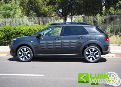 Citroen C4 Cactus BlueHDi 100 Shine (3)