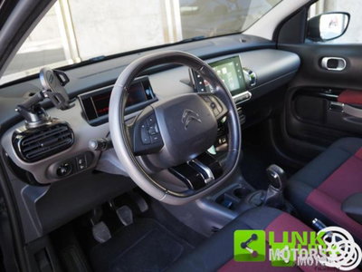 Citroen C4 Cactus BlueHDi 100 Shine (4)