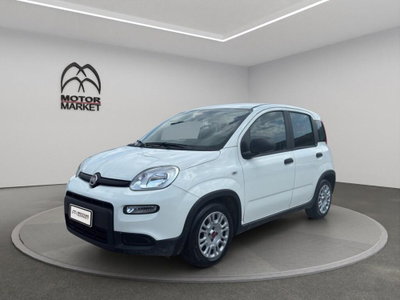 Fiat Panda Cross Cross 1.0 FireFly S&S Hybrid usata