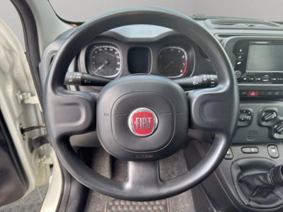 Fiat Panda Cross Cross 1.0 FireFly S&S Hybrid (10)