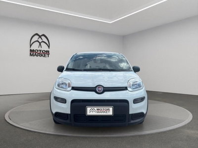 Fiat Panda Cross Cross 1.0 FireFly S&S Hybrid (2)