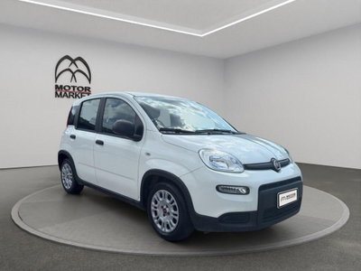 Fiat Panda Cross Cross 1.0 FireFly S&S Hybrid (3)