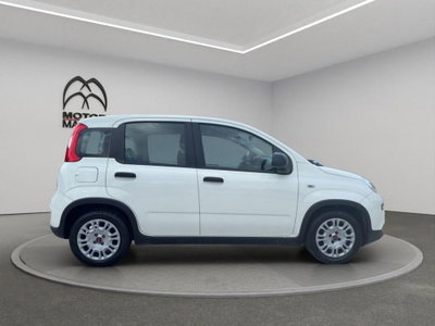 Fiat Panda Cross Cross 1.0 FireFly S&S Hybrid (4)