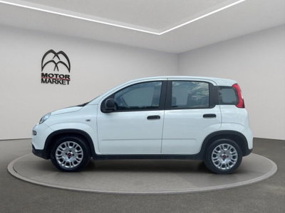 Fiat Panda Cross Cross 1.0 FireFly S&S Hybrid (5)