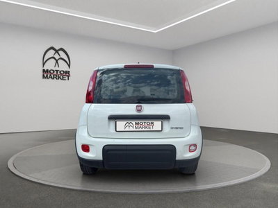 Fiat Panda Cross Cross 1.0 FireFly S&S Hybrid (6)
