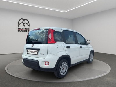 Fiat Panda Cross Cross 1.0 FireFly S&S Hybrid (7)