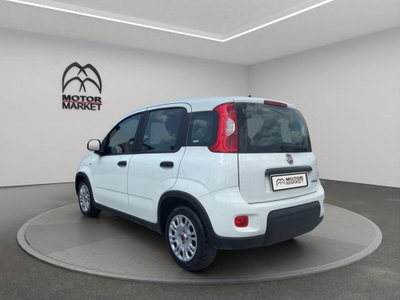 Fiat Panda Cross Cross 1.0 FireFly S&S Hybrid (8)