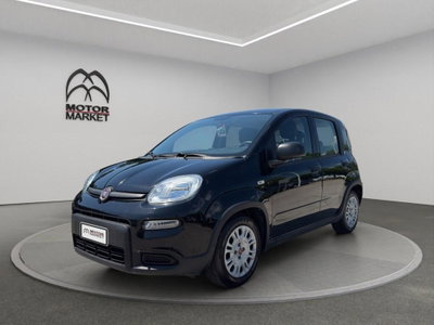 Fiat Panda Cross Cross 1.0 FireFly S&S Hybrid usata