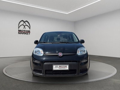 Fiat Panda Cross Cross 1.0 FireFly S&S Hybrid (2)