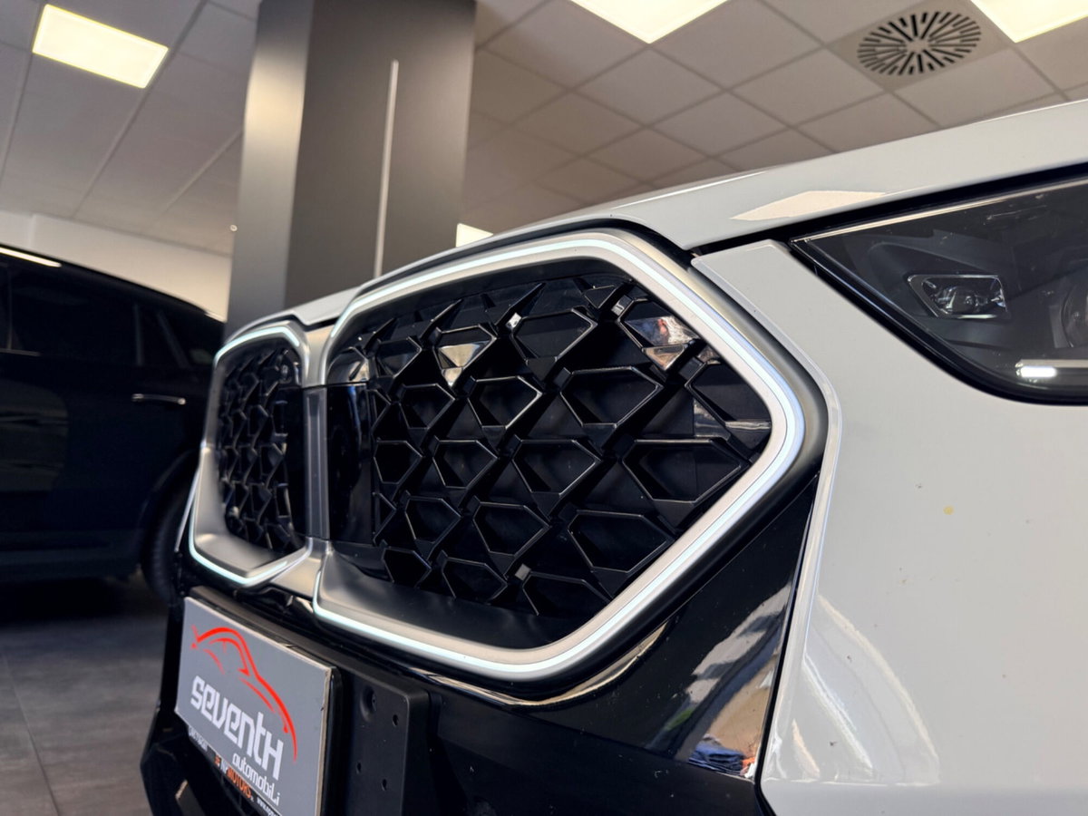 BMW X2 sdrive 18d MSport Pro auto (7)