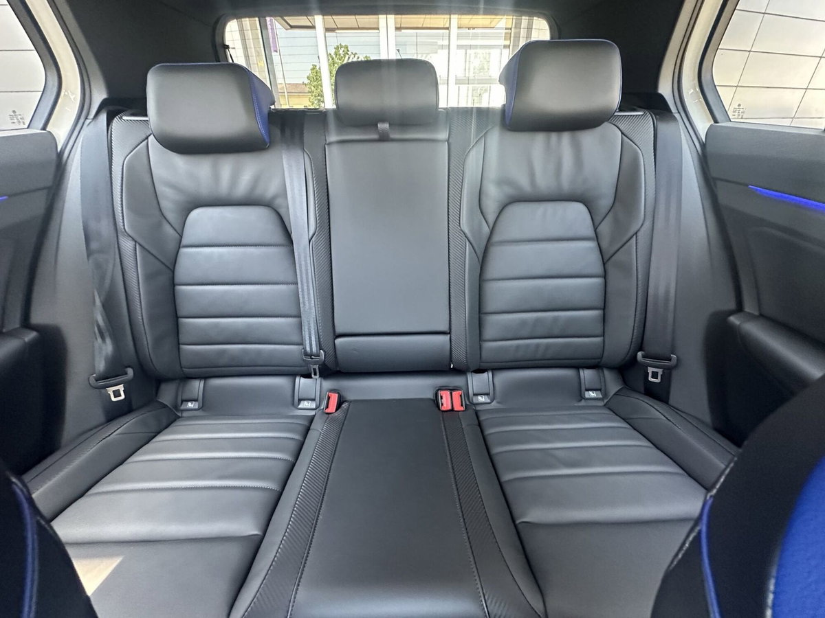 Volkswagen Golf 2.0 TSI R DSG 4Motion 20 years (15)
