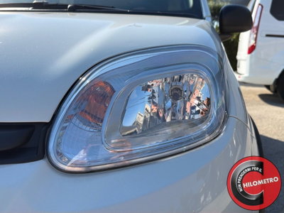 Fiat Panda Cross Cross 1.0 FireFly S&S Hybrid (10)