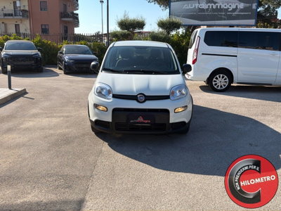 Fiat Panda Cross Cross 1.0 FireFly S&S Hybrid (2)