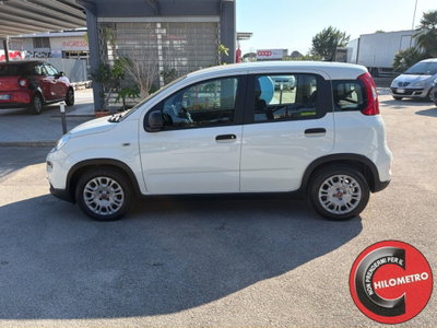 Fiat Panda Cross Cross 1.0 FireFly S&S Hybrid (3)