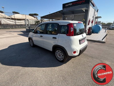 Fiat Panda Cross Cross 1.0 FireFly S&S Hybrid (4)