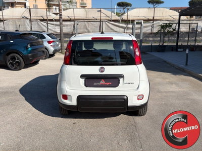 Fiat Panda Cross Cross 1.0 FireFly S&S Hybrid (5)