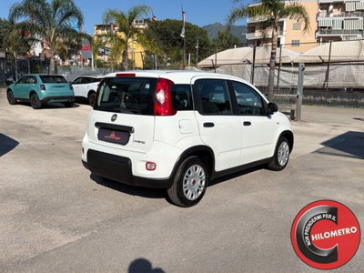 Fiat Panda Cross Cross 1.0 FireFly S&S Hybrid (6)
