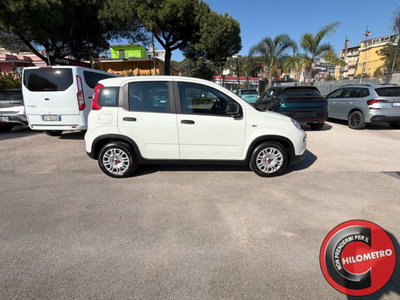 Fiat Panda Cross Cross 1.0 FireFly S&S Hybrid (7)