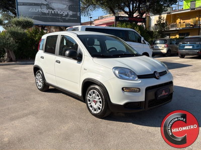 Fiat Panda Cross Cross 1.0 FireFly S&S Hybrid (8)