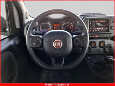 Fiat Panda 1.0 FireFly S&S Hybrid City Cross (12)
