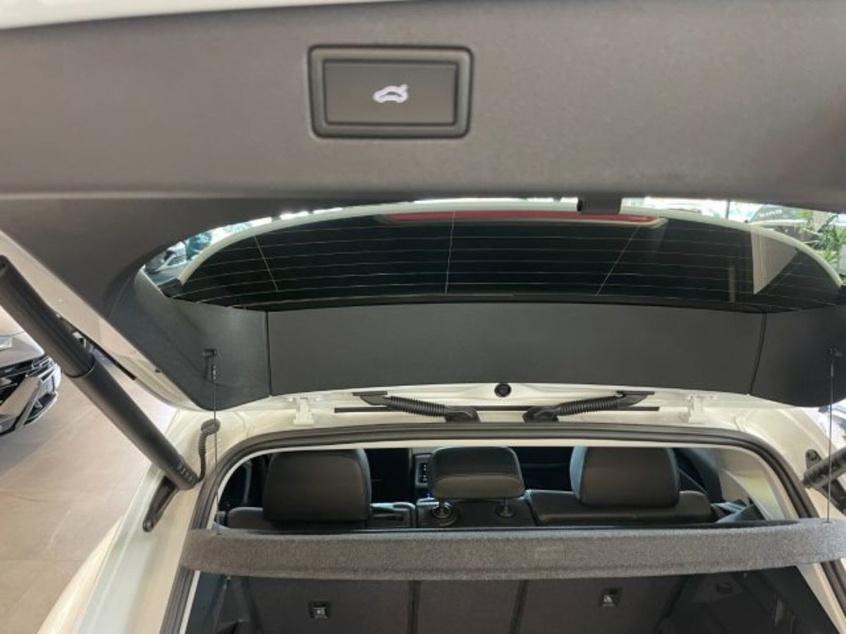 Volkswagen Tiguan 2.0 tdi Edition 150cv dsg (9)