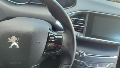 Peugeot 308 BlueHDi 100 S&S Business (20)