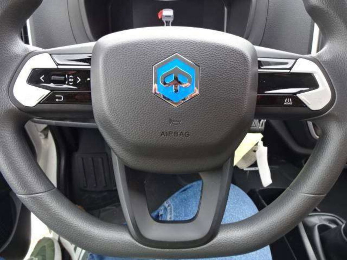 Piaggio Porter NP6 1.5 PC Long Range LPG Cassone Rib. Std Pro (14)