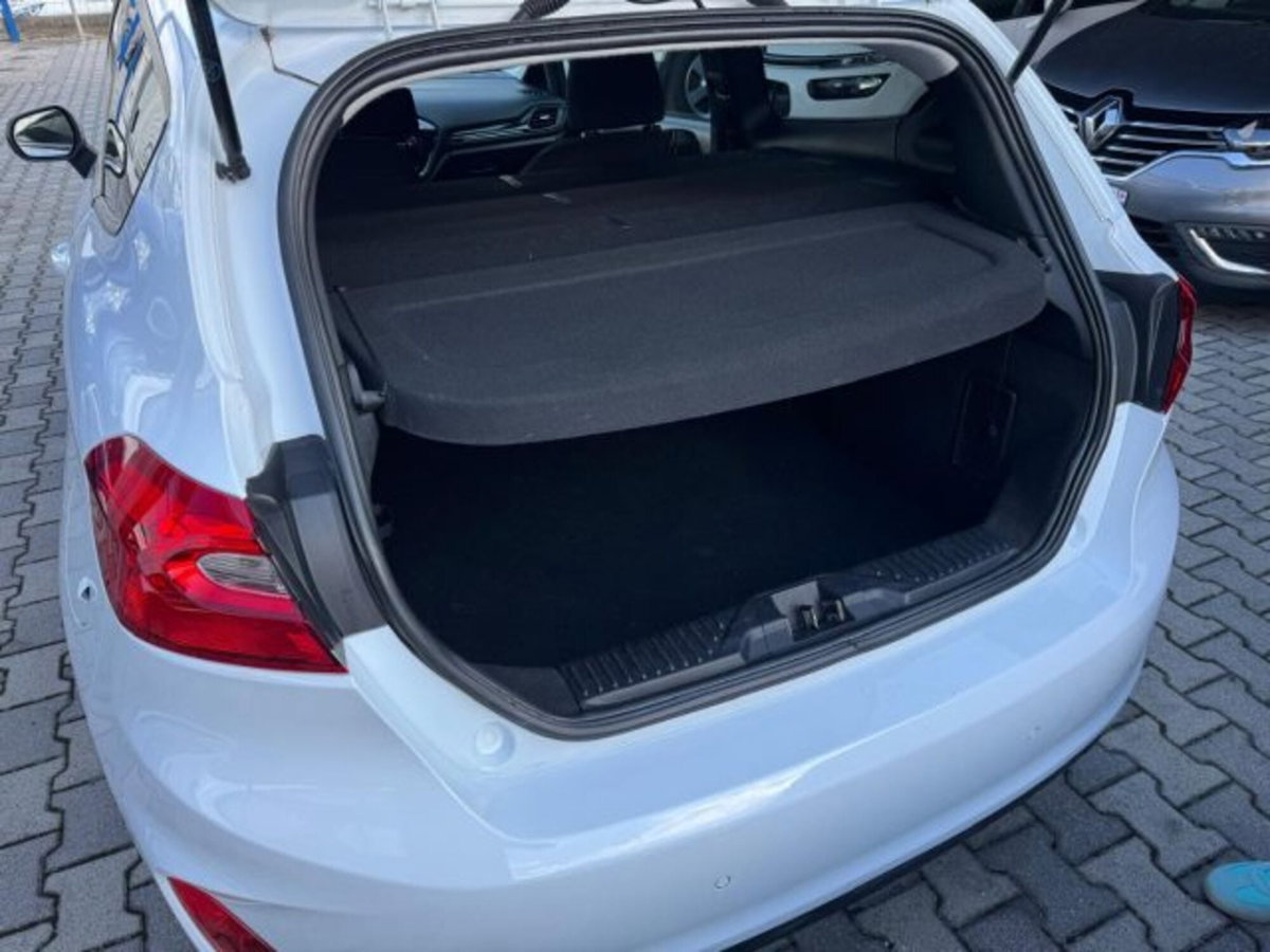 Ford Fiesta 1.5 TDCi 3 porte ST-Line (14)