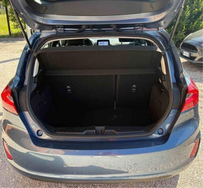 Ford Fiesta 1.5 EcoBlue 5 porte Titanium (10)