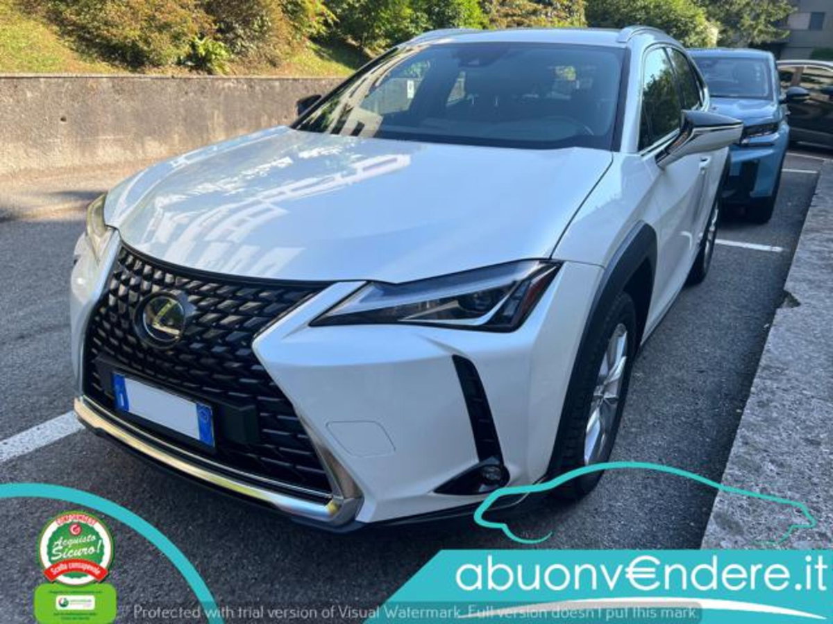 Lexus UX Hybrid Business