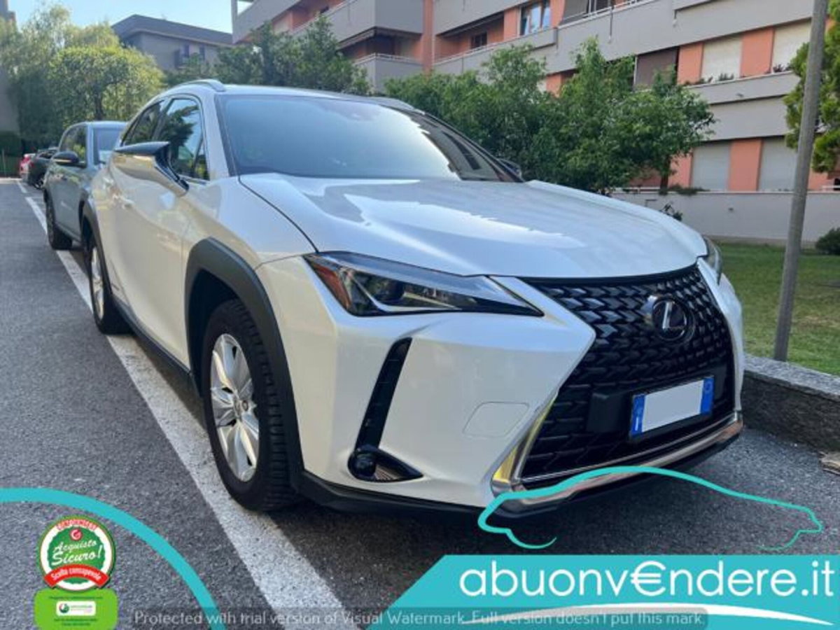 Lexus UX Hybrid Business (10)