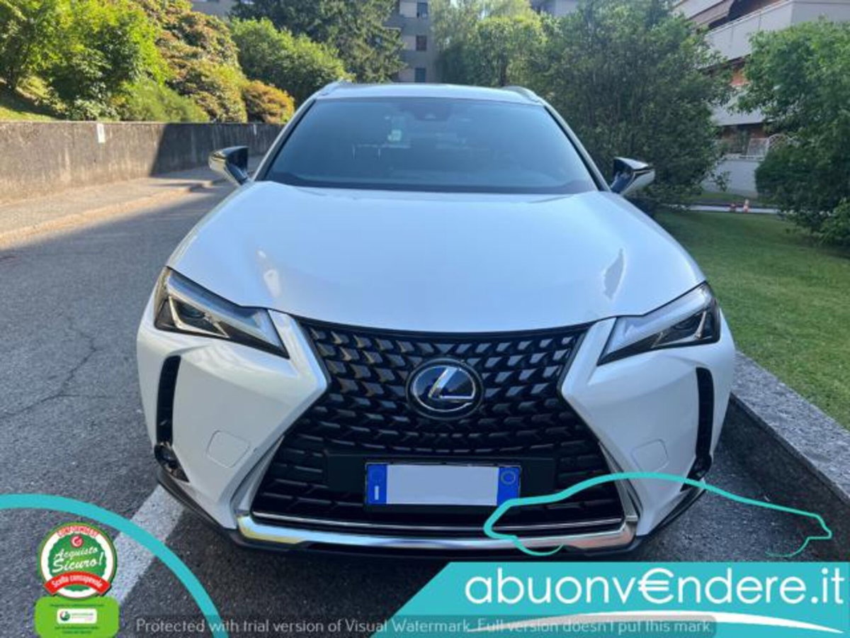 Lexus UX Hybrid Business (11)