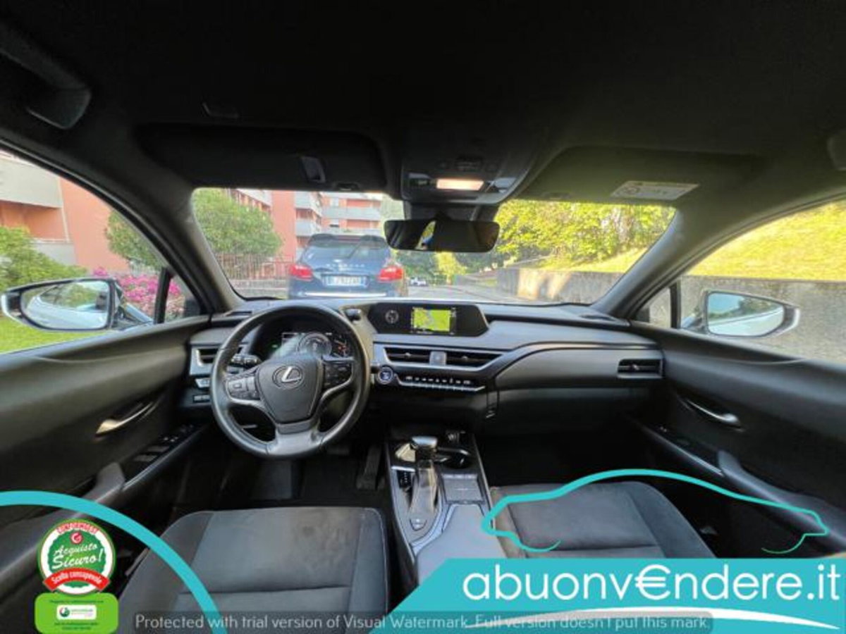 Lexus UX Hybrid Business (16)