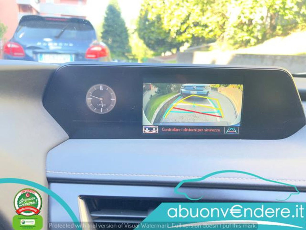 Lexus UX Hybrid Business (18)