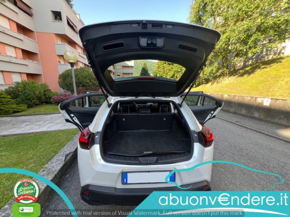 Lexus UX Hybrid Business (20)