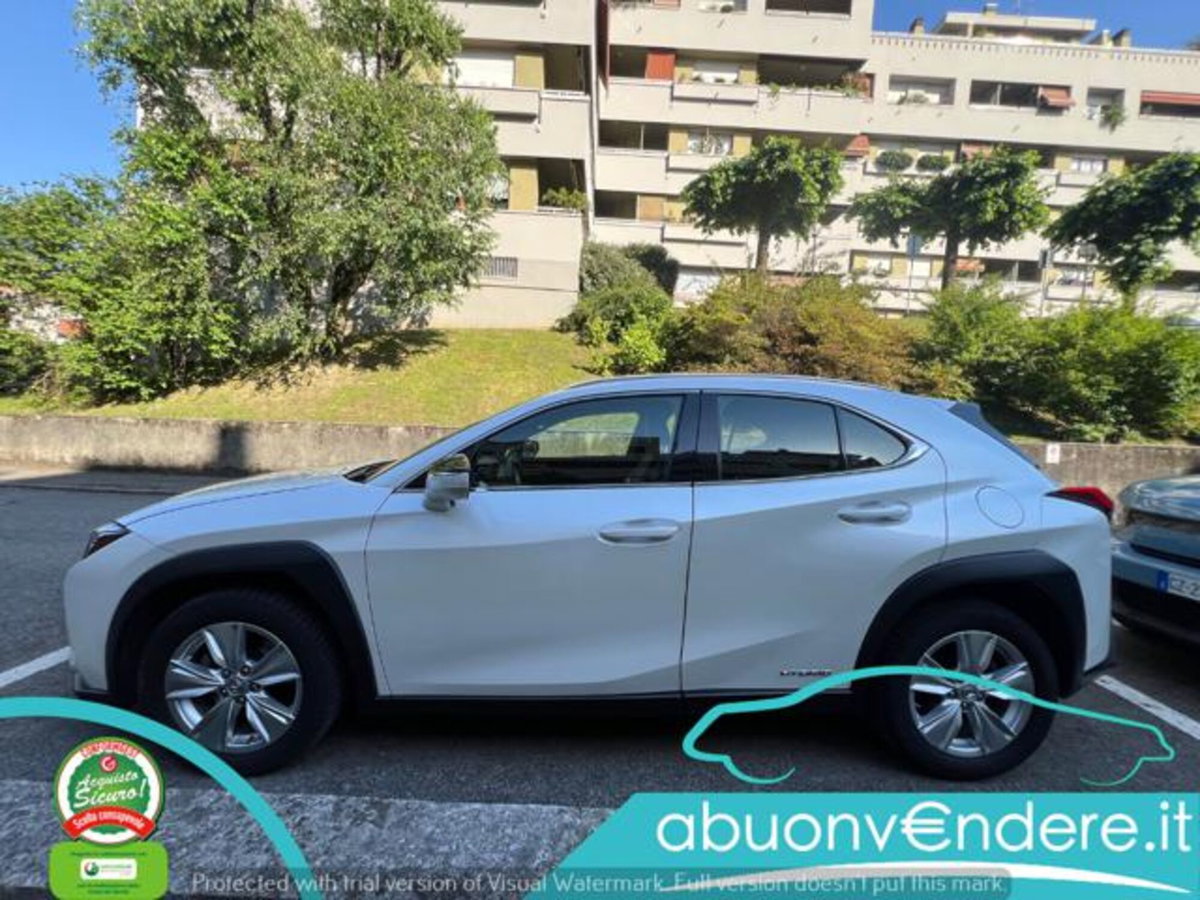 Lexus UX Hybrid Business (5)