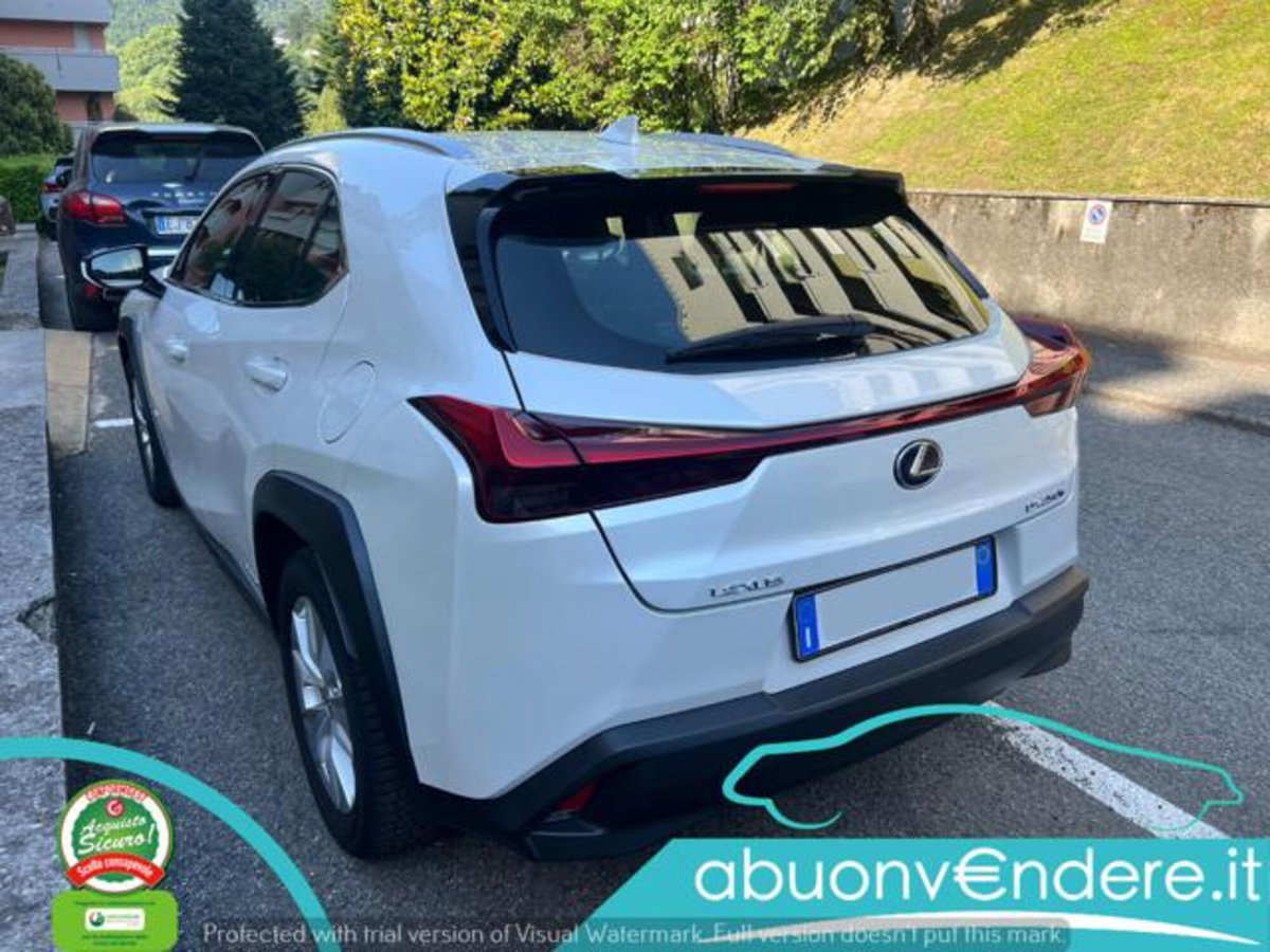 Lexus UX Hybrid Business (6)