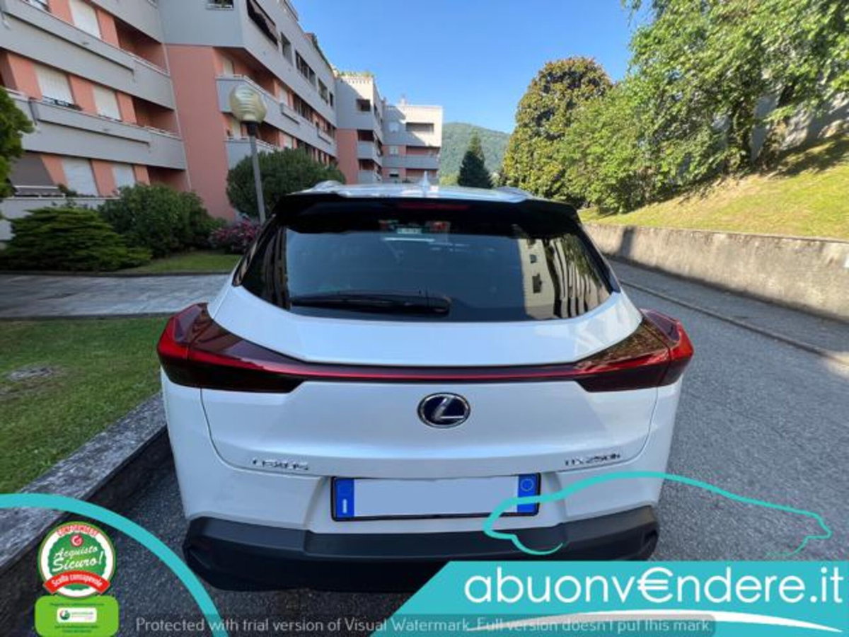 Lexus UX Hybrid Business (7)