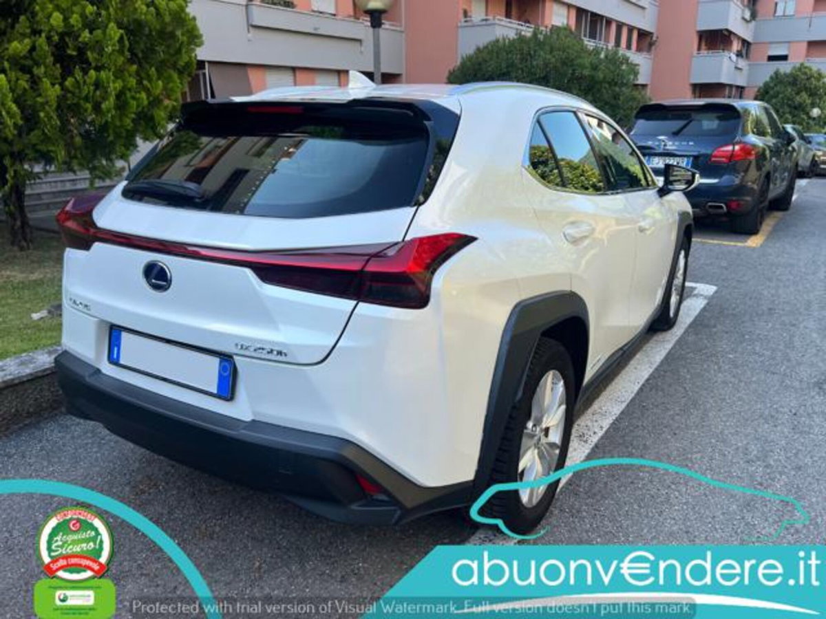 Lexus UX Hybrid Business (8)