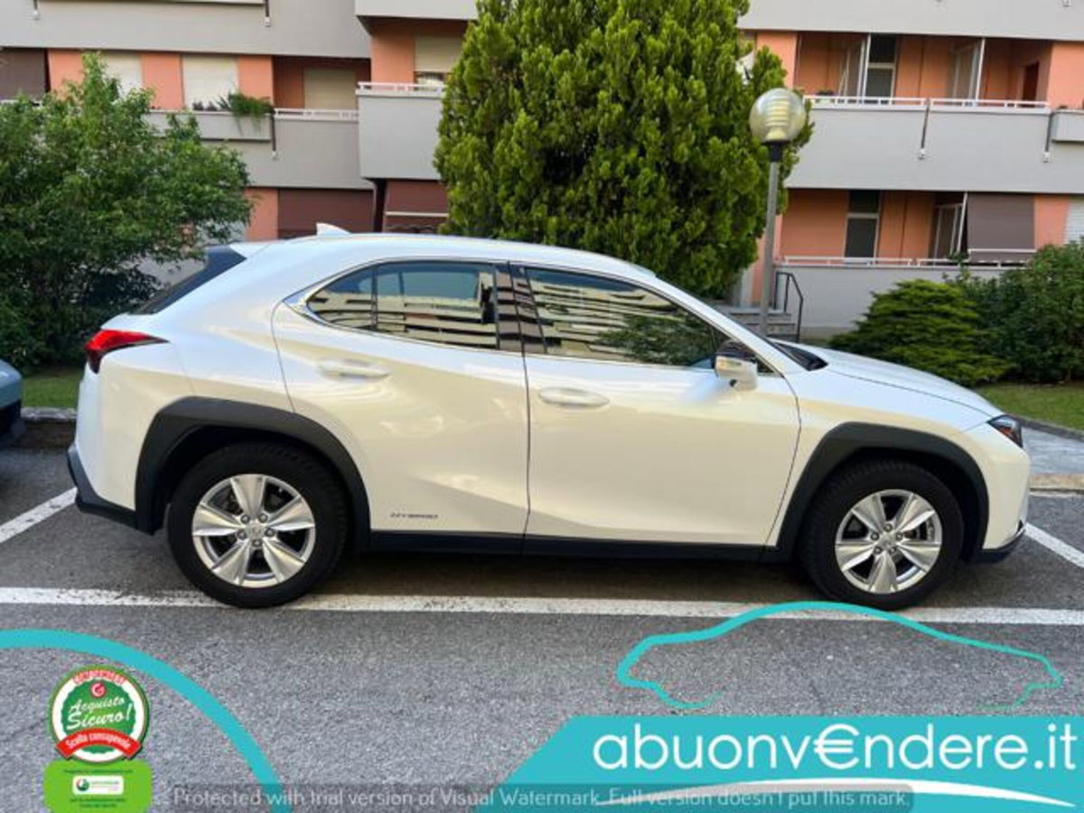 Lexus UX Hybrid Business (9)