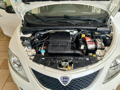 Lancia Ypsilon 1.2 69 CV 5 porte GPL Ecochic Gold (3)
