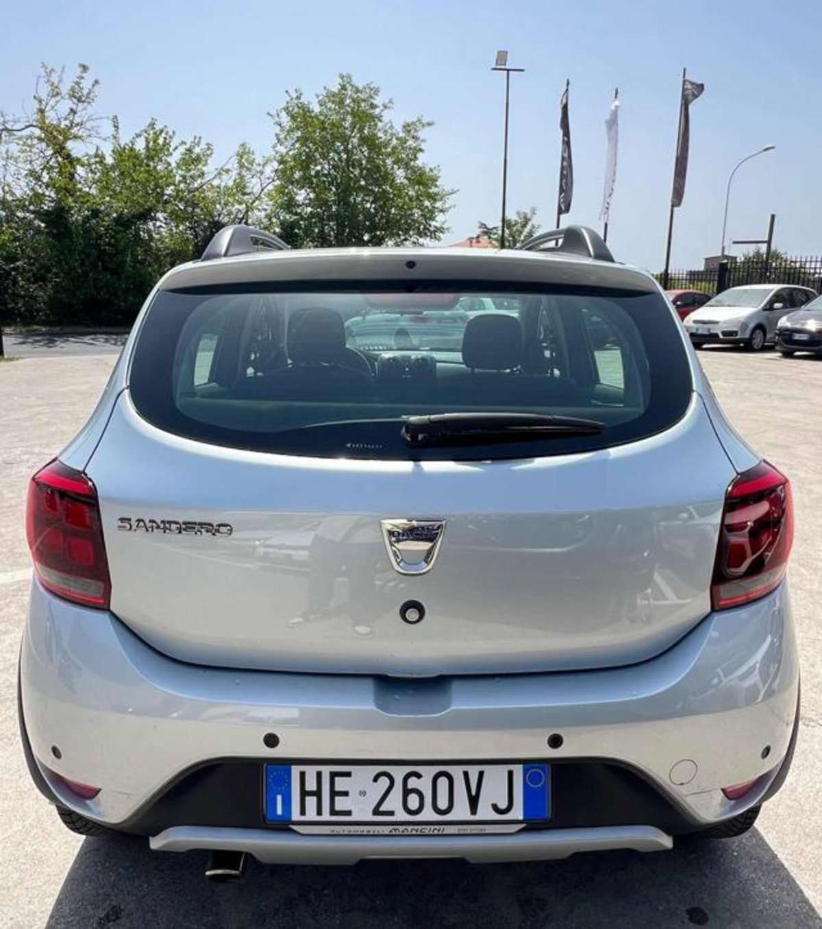 Dacia Sandero Stepway 0.9 TCe 90 CV Techroad (5)