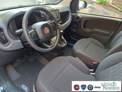 Fiat Panda 1.0 firefly hybrid s&s 70cv 5p.ti (10)